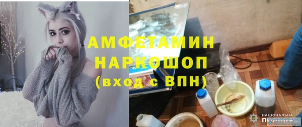 шишки Алзамай